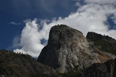 DSC_4357 (Large).JPG